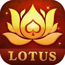 teen patti dham download